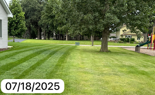 Lawn fertilizing, Soil amendments, Turf bio-stimulants all in one go
