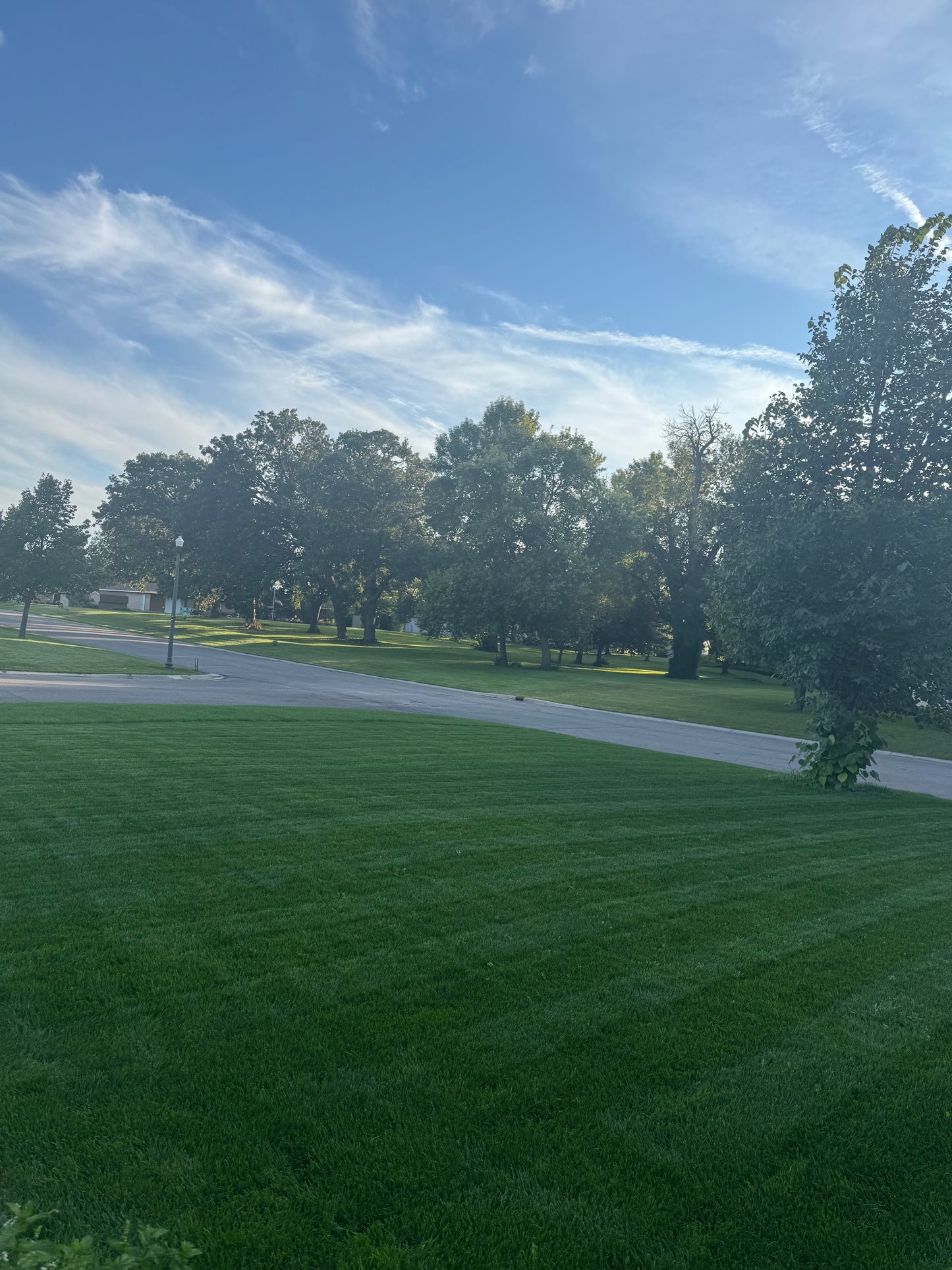 residential elite Turf/Lawn care